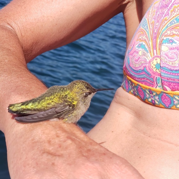 Meet your Posher, Jennifer - Picture 7 of 8